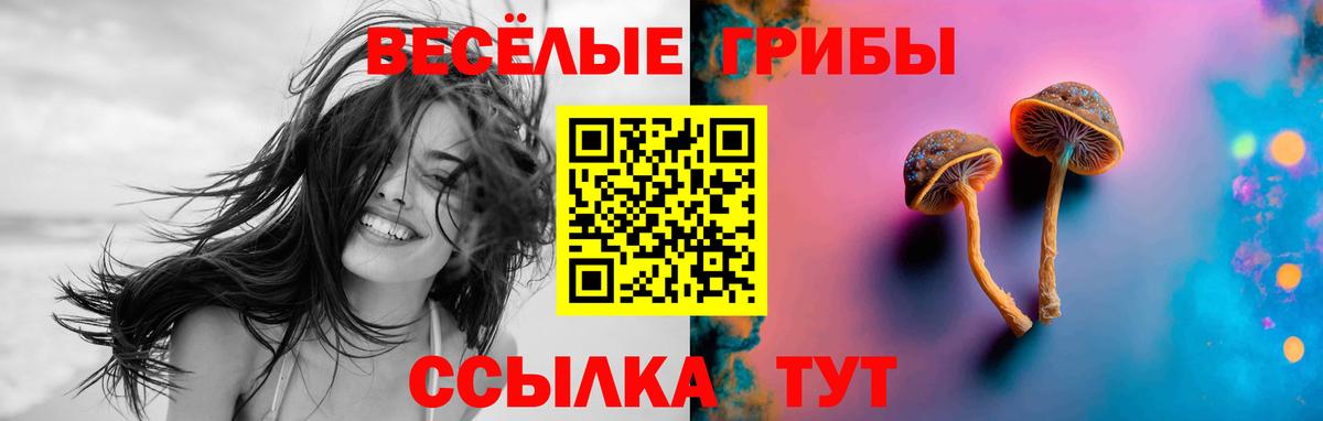 Галлюциногенные грибы ЛСД  Вход с VPN  Белореченск  где купить наркоту  Галлюциногенные грибы мухоморы 